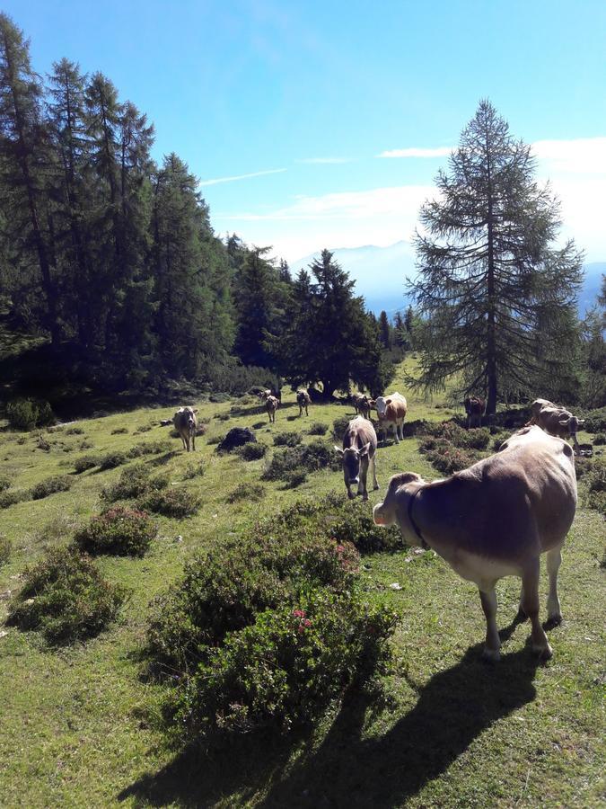 Berghotel Schlickeralm 1.616 M Fulpmes Esterno foto